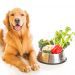 چه میوه و سبزیجاتی به سگ بدهیم؟