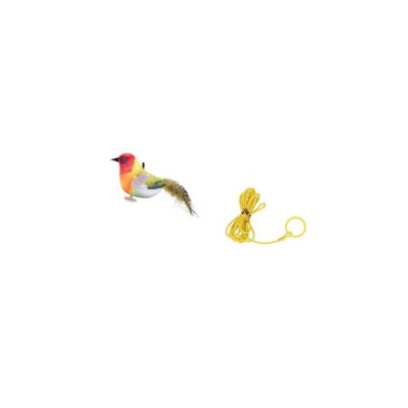 پرنده صدا دار